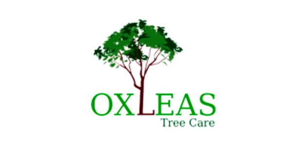 Oxleas Tree Care